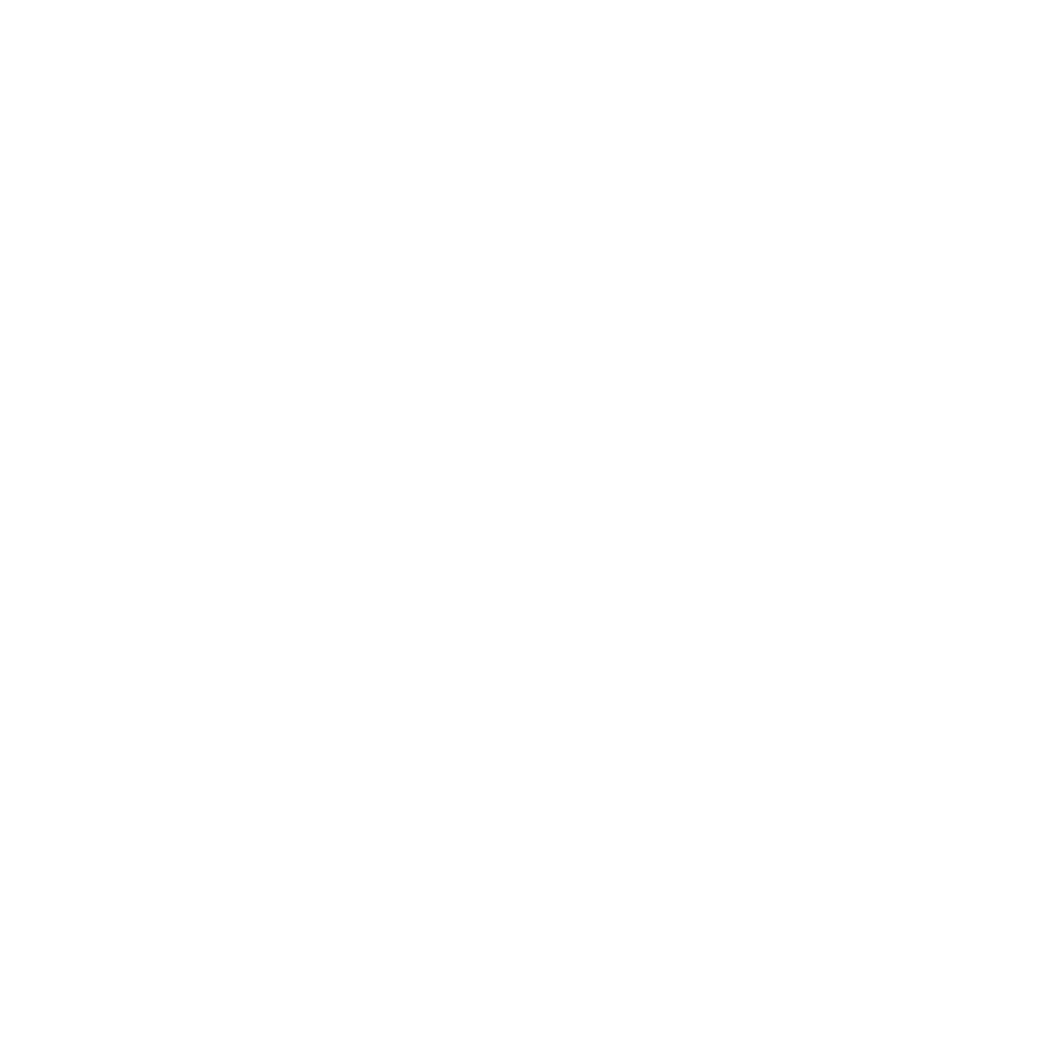 Welcome to Spinrillo World